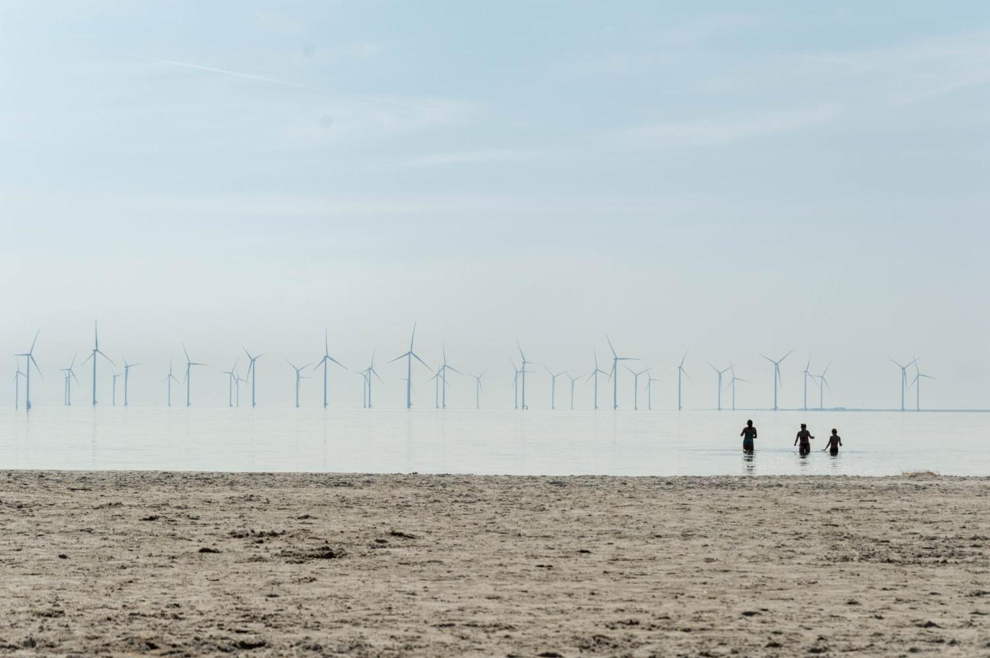 Zuiderzeestate 35, Prachtig Appartement Aan Het Ijsselmeer Makkum Eksteriør bilde